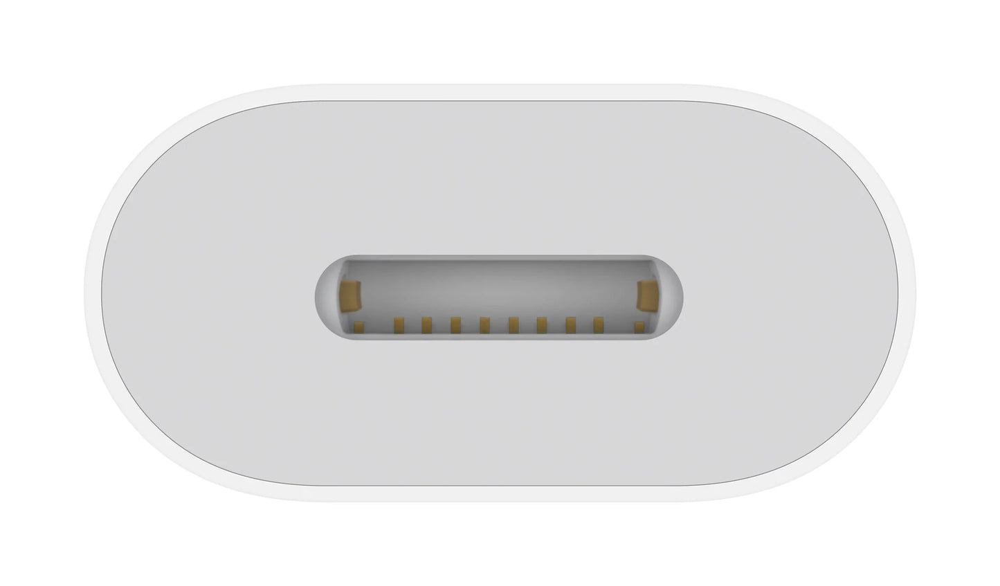 USB-C to Lightning Adapter
